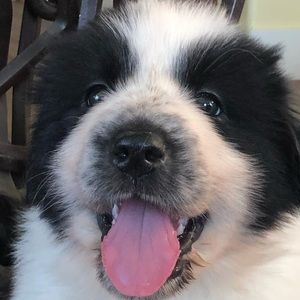 Meet your Posher, Jody